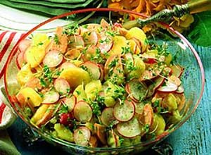 Barvarian Potato Salad Recipe